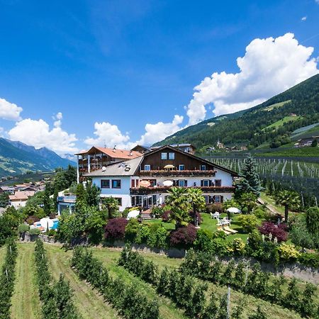 Pension Zum Burggraefler シェーナ エクステリア 写真