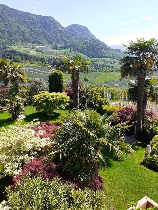 Pension Zum Burggraefler シェーナ エクステリア 写真