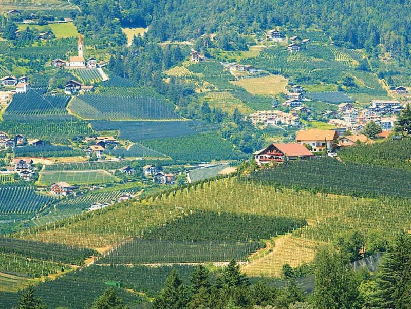 Pension Zum Burggraefler シェーナ エクステリア 写真